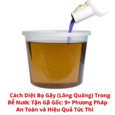 Cách Diệt Bọ Gậy (Lăng Quăng) Trong Bể Nước Tận Gốc: 9+ Phương Pháp An Toàn và Hiệu Quả Tức Thì