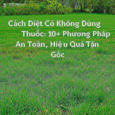Cách Diệt Cỏ Không Dùng Thuốc: 10+ Phương Pháp An Toàn, Hiệu Quả Tận Gốc