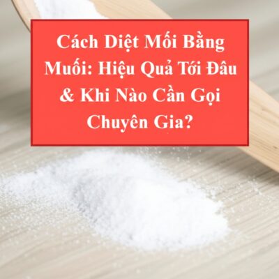 Cách Diệt Mối Bằng Muối: Hiệu Quả Tới Đâu & Khi Nào Cần Gọi Chuyên Gia?