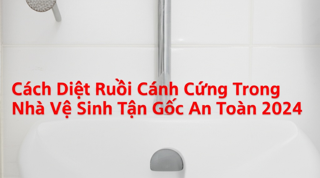 Hình minh họa cho bài viết: Cách Diệt Ruồi Cánh Cứng Trong Nhà Vệ Sinh Tận Gốc, An Toàn 2024