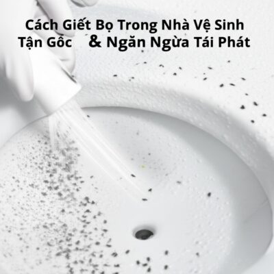 Cách Giết Bọ Trong Nhà Vệ Sinh Tận Gốc & Ngăn Ngừa Tái Phát