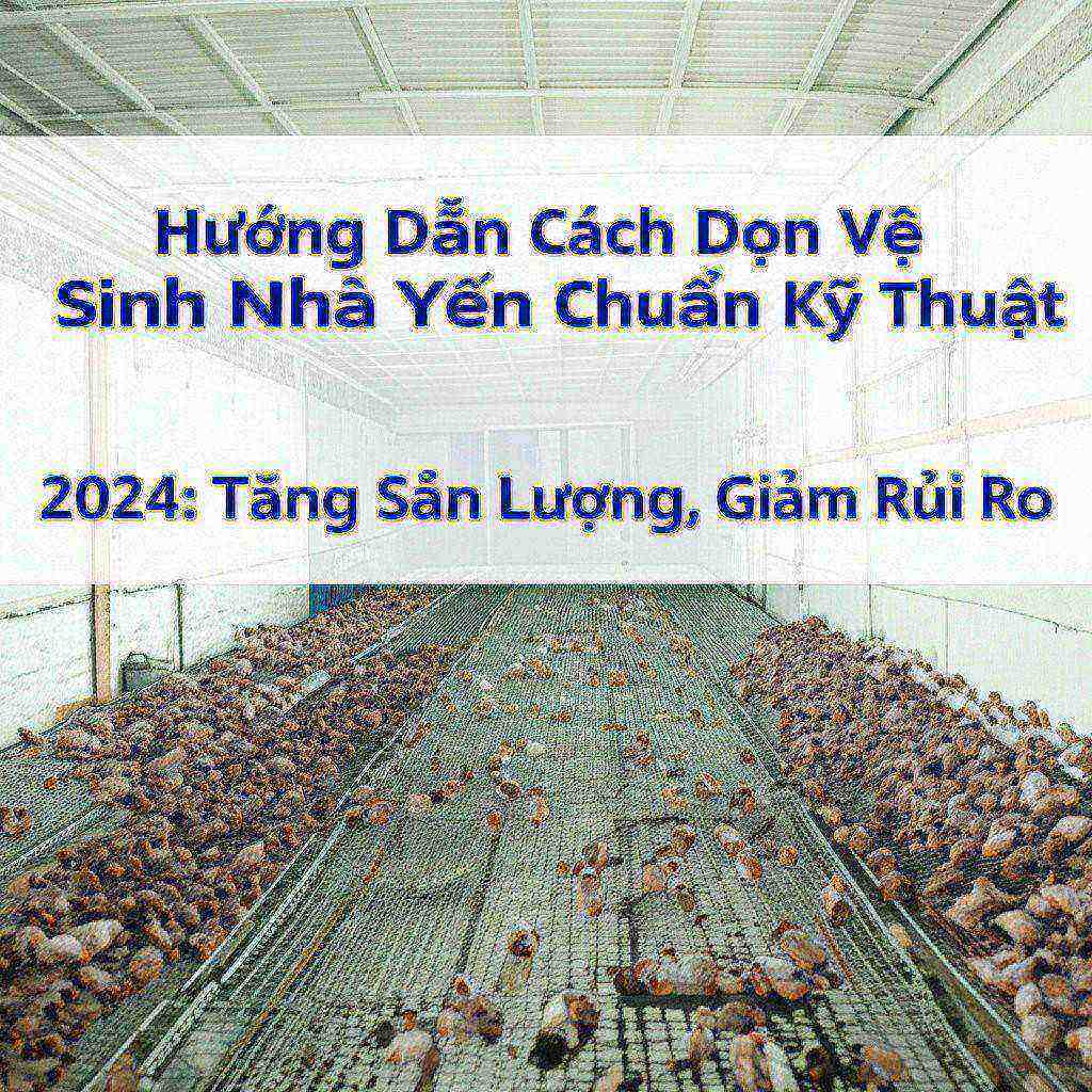 Hình minh họa cho bài viết: Hướng Dẫn Cách Dọn Vệ Sinh Nhà Yến Chuẩn Kỹ Thuật 2024: Tăng Sản Lượng, Giảm Rủi Ro